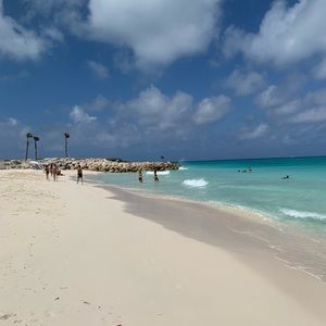 Meet your Posher, Irene